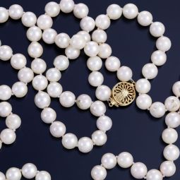 Opera Length Pearls | Strand of White Pearls with 14K Yellow Gold